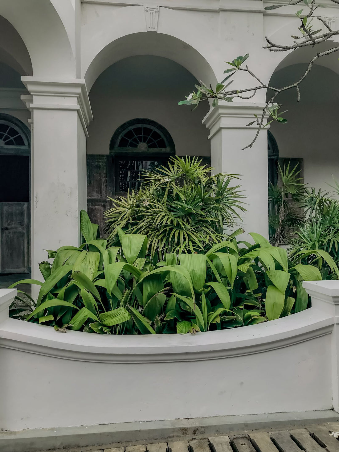 Tropical architecture in Sri Lanka with deep shade and columns