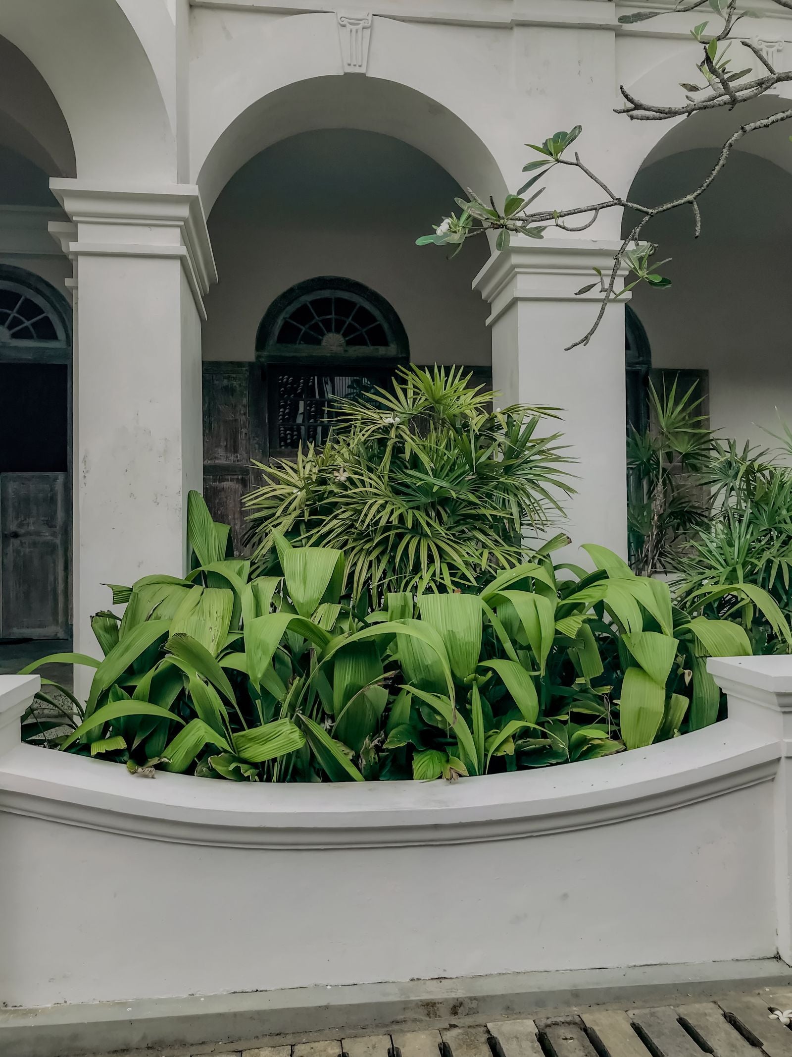 Tropical architecture in Sri Lanka with deep shade and columns
