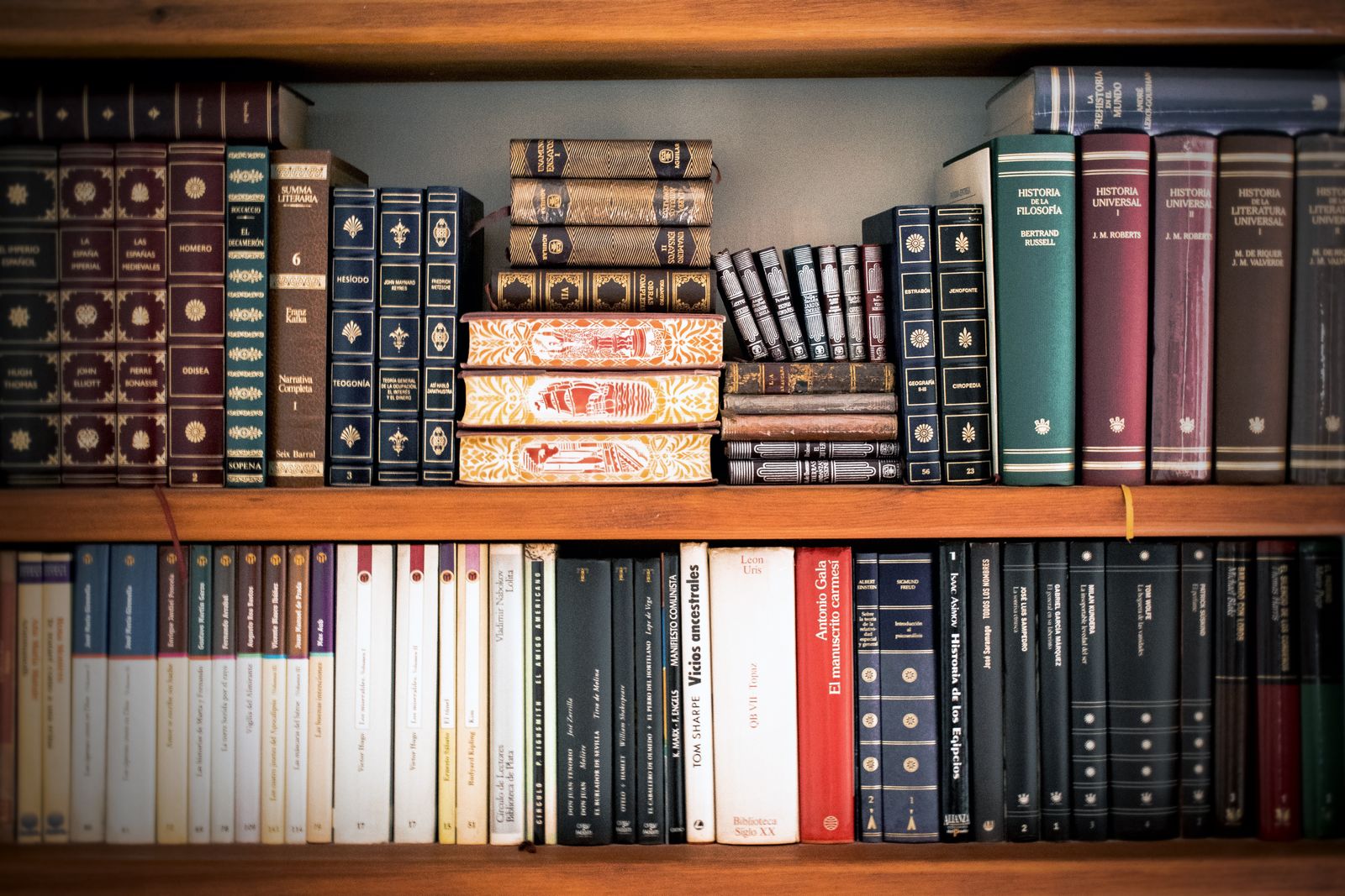 Shelves filled with assorted books