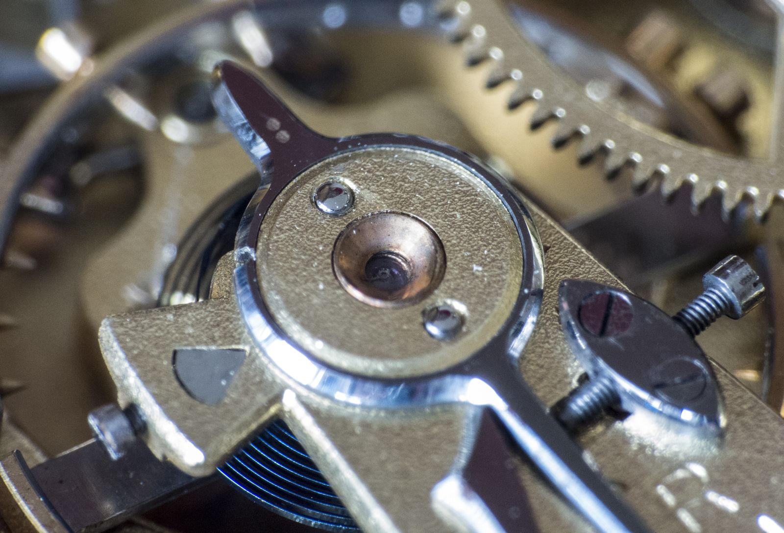 A watch movement in macro detail