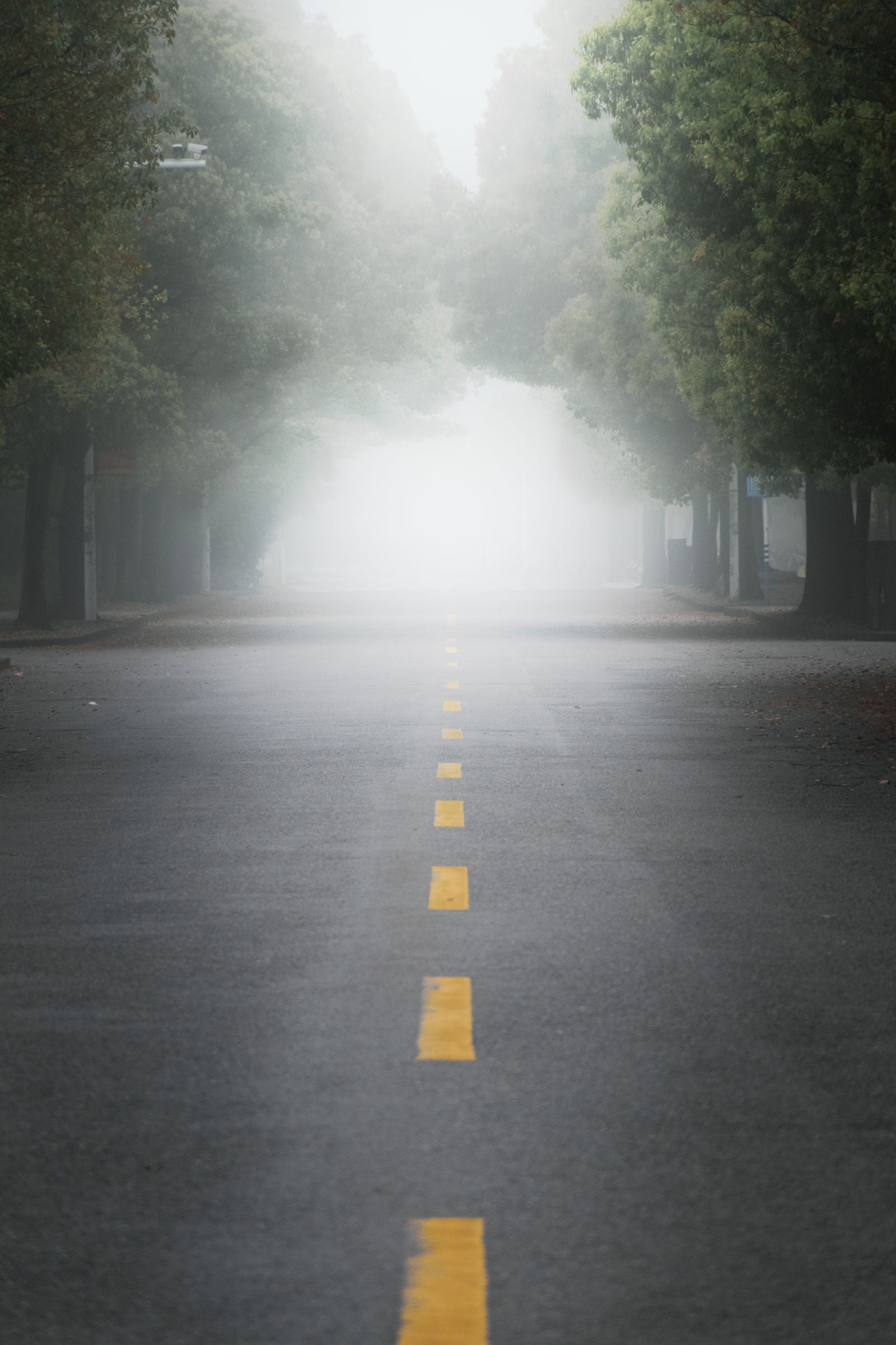The Morning Walk Has No Destination