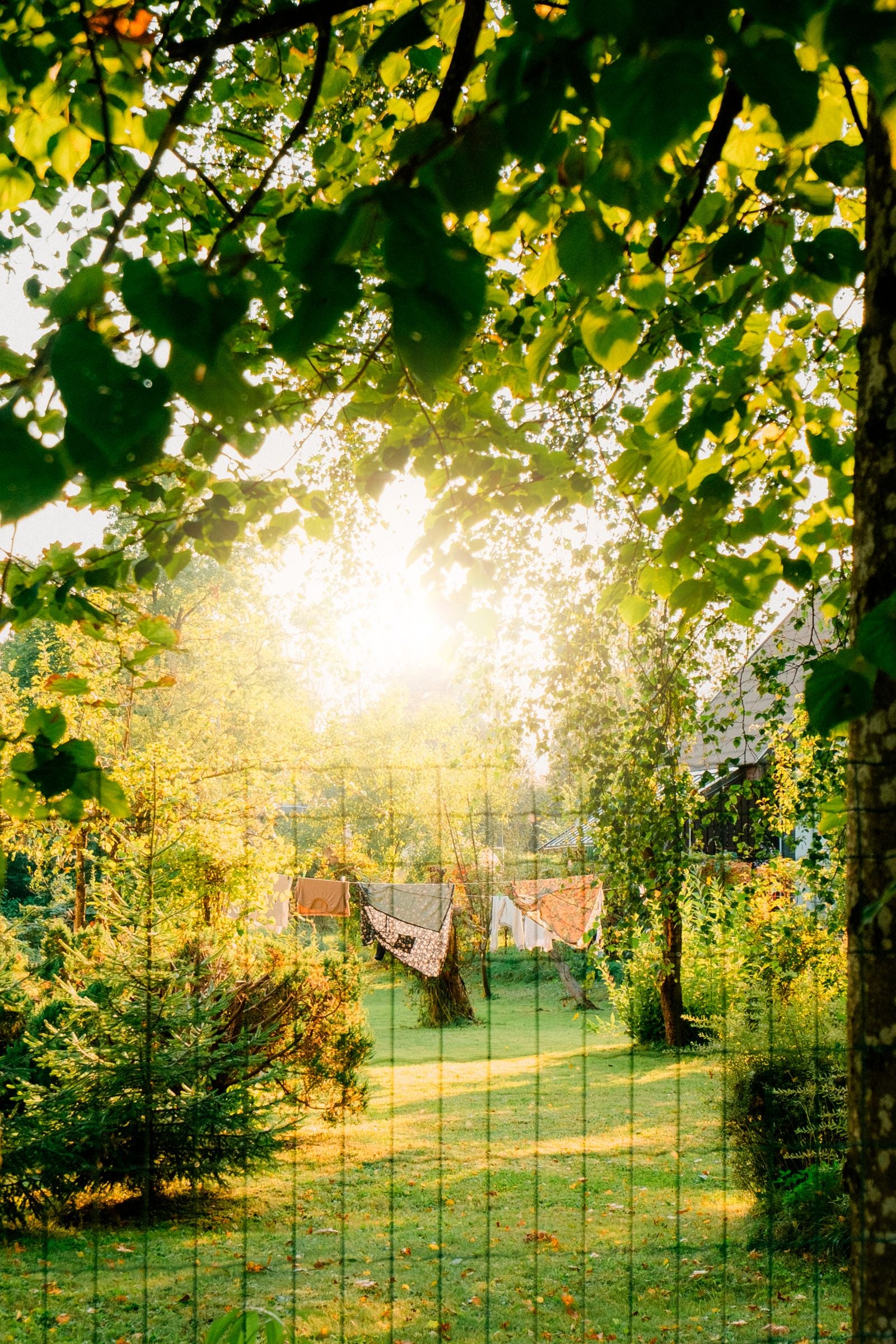 Laundry drying in a sunlit garden
