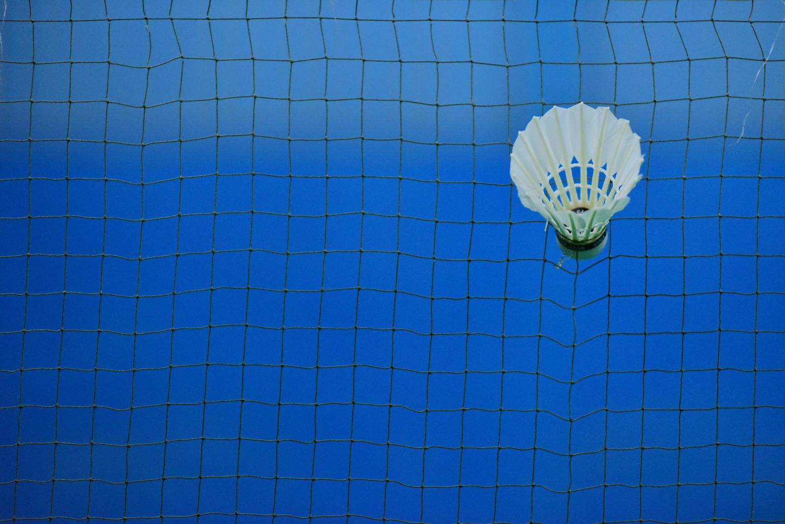 Badminton Is the National Nervous System
